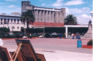 Harinera de Amecameca 01