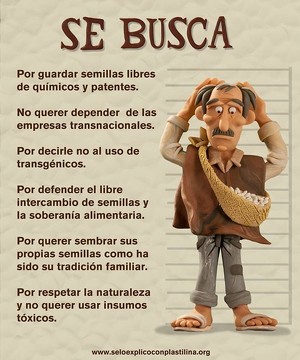 se-busca