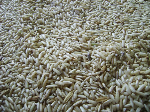 Arroz integral sin cáscara