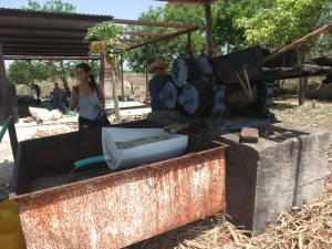 Gra en en el Trapiche