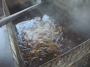 Hervor del jugo de caña 2